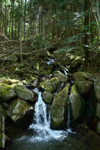 Clear stream flowing in the mountains