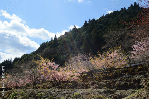 Spring view of the Japanese countryside