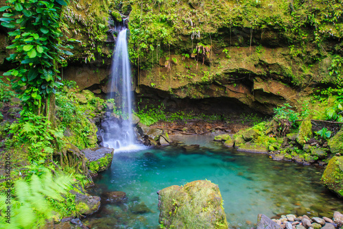 Emerald Pool in the lush rain forest  is a beautiful jewel of Dominica in the Caribbean photo