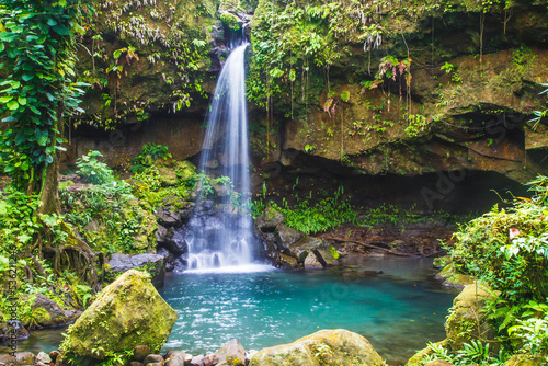 Emerald Pool in the lush rain forest is a beautiful jewel of Dominica in the Caribbean