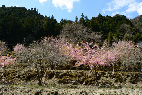 Spring view of the Japanese countryside