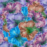 Petunia. Illustration, texture of flowers. Seamless pattern for continuous replication. Floral background, photo collage for textile, cotton fabric. For wallpaper, covers, print.