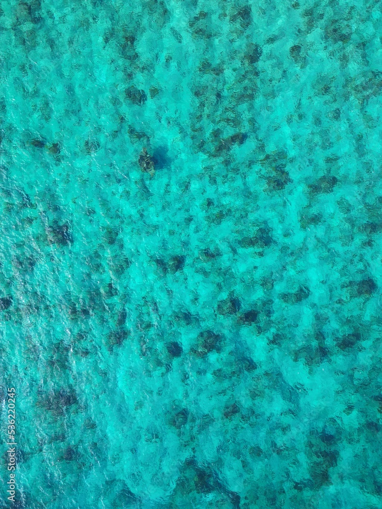 Blue green sea ocean caribbean water tropics wet sunny