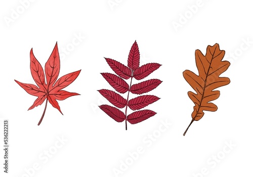 Watercolor Autumn clipart set. Autumn red leafs. Autumn yellow leafs.