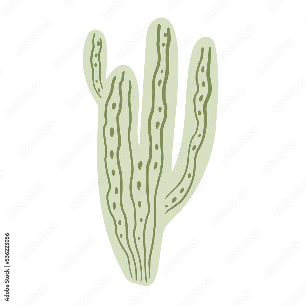 Green Cactus Plant Green Cactus Plant