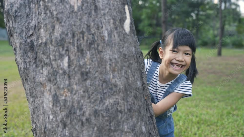 Portrait of little cute asian girl hiding behind the tree in the park spring or summer time. Hind and seek fun play Asia childhood education elementary nature concept. Portrait of little cute asian girl hiding behind the tree in the park spring or summer time. Hind and seek fun play Asia childhood education elementary nature concept.