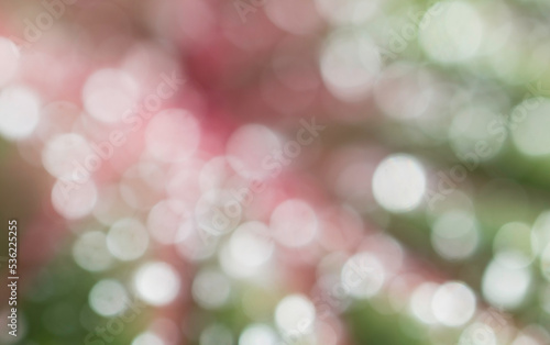 The image blur bokeh colorful from nature background.