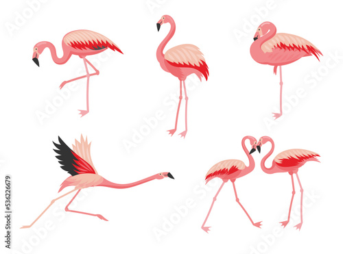 Flamingo bird cartoon vector illustration set. Pink bird flying, standing, eating, showing love. Collection of stickers, patterns, prints with watercolor flamingo character. Vacation, wildlife concept