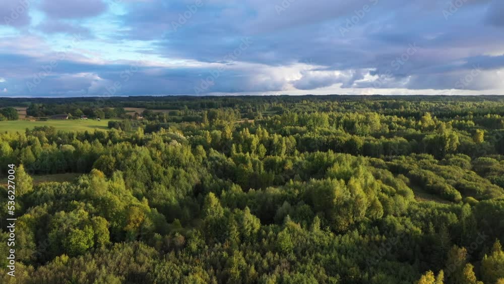 Lush forest and green meadows, serene autumn golden hour under cloudy blue skies Lush forest and green meadows, serene autumn golden hour under cloudy blue skies