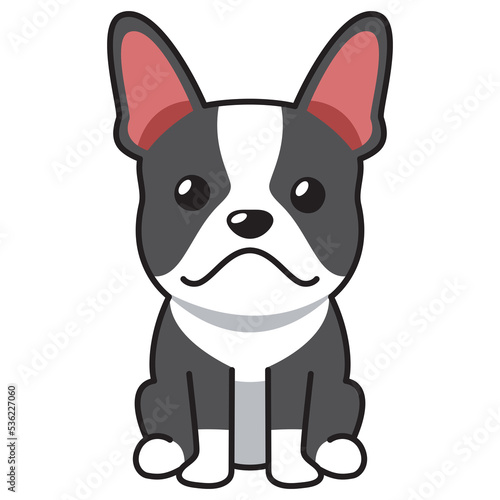 Cartoon character boston terrier dog for design. © jaaakworks
