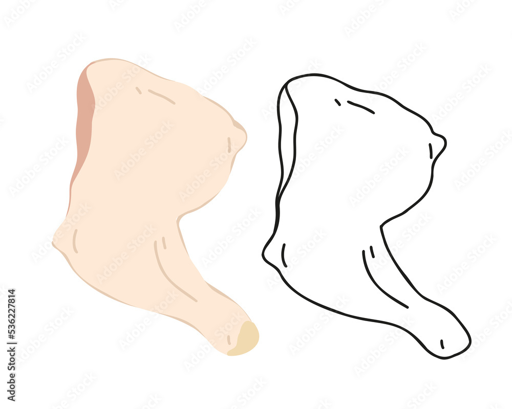 Set fresh chicken thigh flat and doodle, hand drawn, linear isolated on white background. Vector illustration Set fresh chicken thigh flat and doodle, hand drawn, linear isolated on white background. Vector illustration