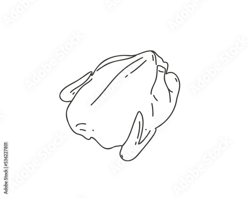 Fresh chicken meat carcass on a white background. Doodle or hand drawn vector illustration
