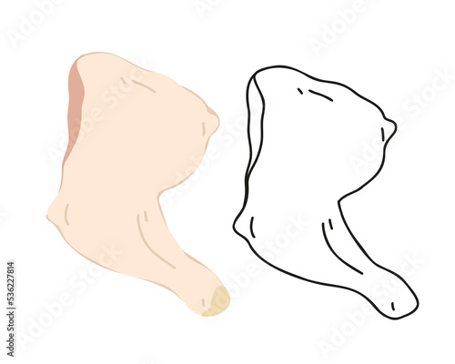 Set fresh chicken thigh flat and doodle, hand drawn, linear isolated on white background. Vector illustration