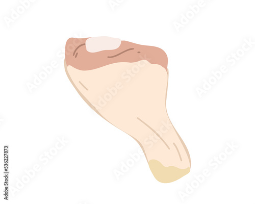 Fresh chicken leg  piece isolated on white background. Flat vector illustration