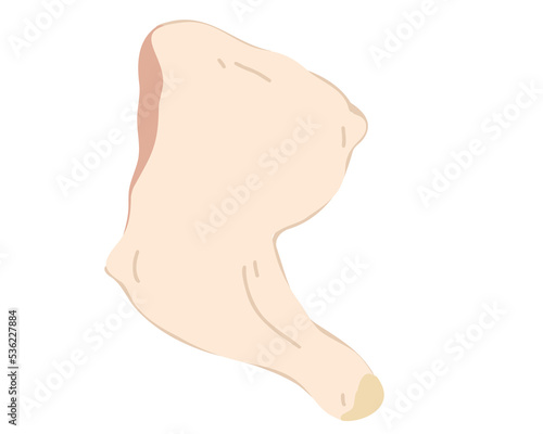 Fresh chicken thigh isolated on white background. Flat vector illustration