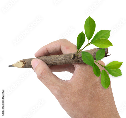 Hand drawing with twig pencil