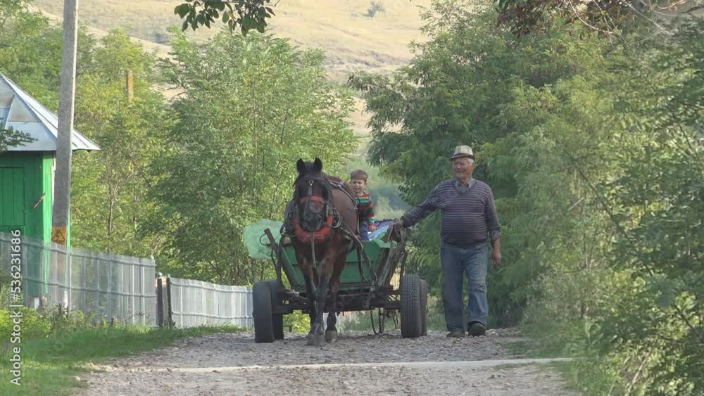 Old man entertains kids with a horse-drawn cart ride on village road Old man entertains kids with a horse-drawn cart ride on village road