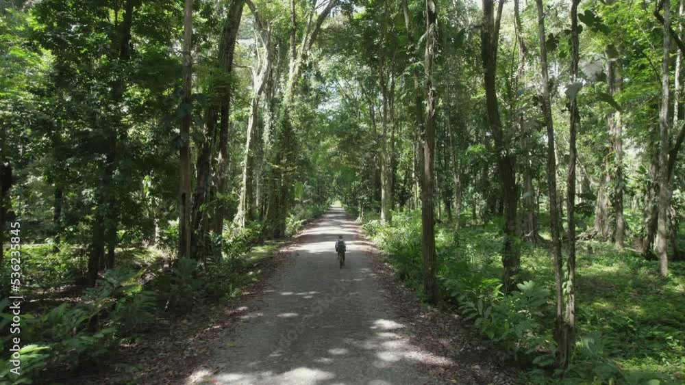 an adult cycling in a tropical forest an adult cycling in a tropical forest