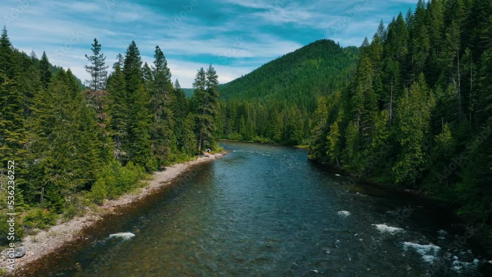 River Flowing Through Fir Trees In Lolo National Forest Near Missoula In Montana, USA. low aerial pullback River Flowing Through Fir Trees In Lolo National Forest Near Missoula In Montana, USA. low aerial pullback
