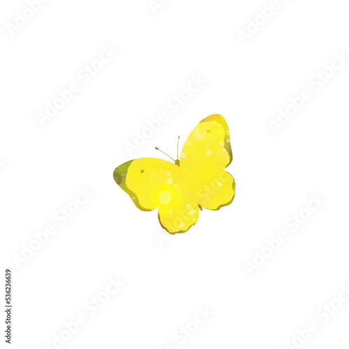 モンキチョウのイラスト素材