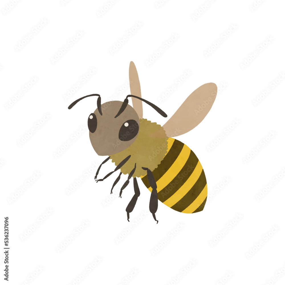 ちょっとリアルによせた蜜蜂のイラスト ちょっとリアルによせた蜜蜂のイラスト