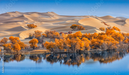 Photography Under the blue sky, blue lake, beautiful sand dunes and Populus euphratica forest dyed in autumn color