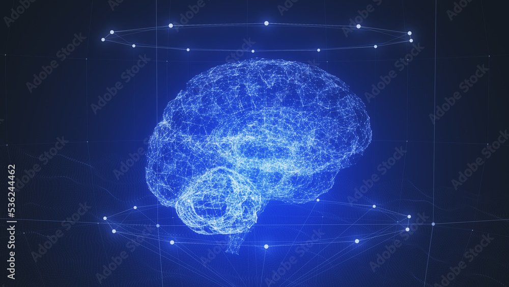 human brain scan human brain scan