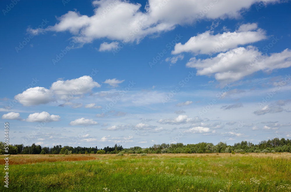 Beautiful summer rural landscape. Meadow with trees and grass against the clouds sky Beautiful summer rural landscape. Meadow with trees and grass against the clouds sky