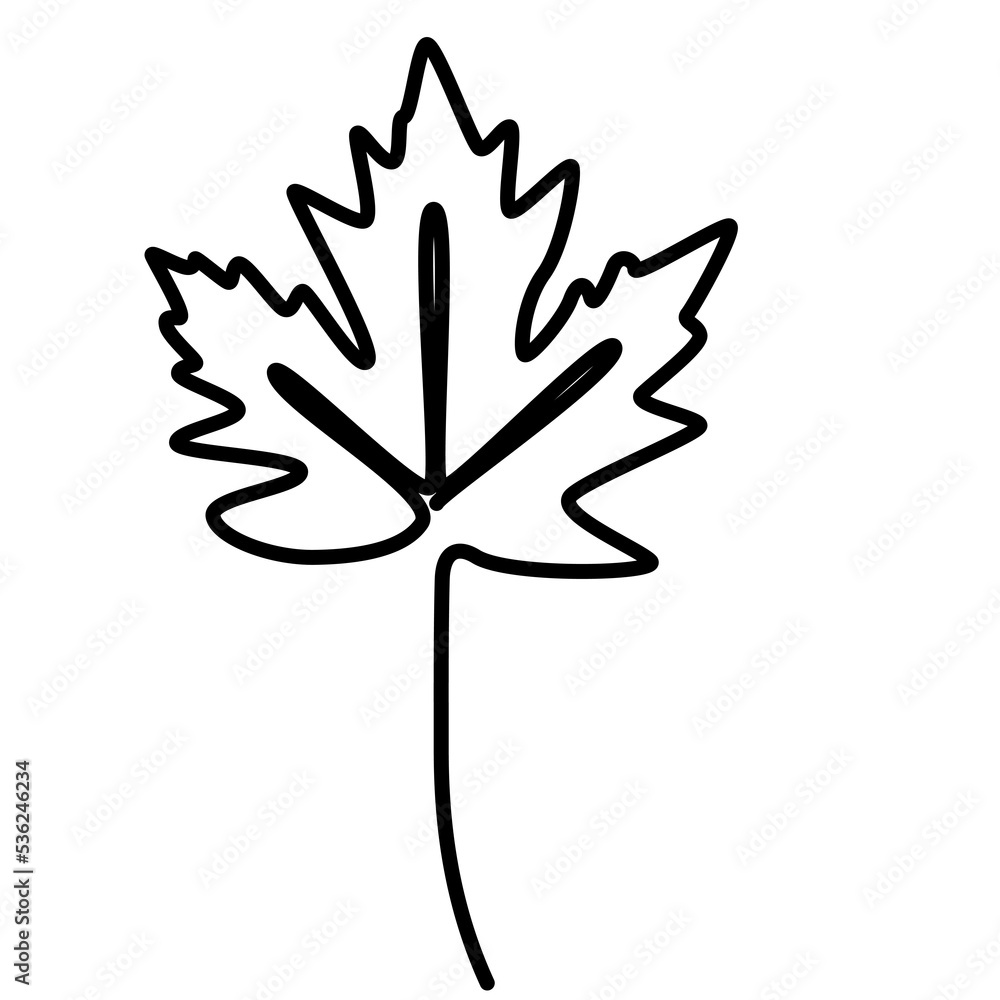 Obraz premium continuous one line illustration of maple autumn tree leaf with minimal png design