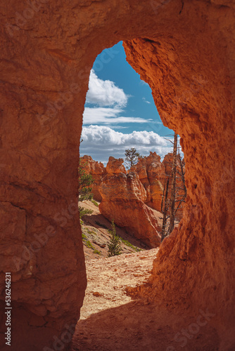 A tree over a rock as seen through an archway in Bryce Canyon National Park, Utah © Tushar Turkar