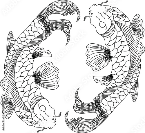Hand drawn line art of fish (Koi carp). Vector isolated. Idea for tattoo and coloring books.
