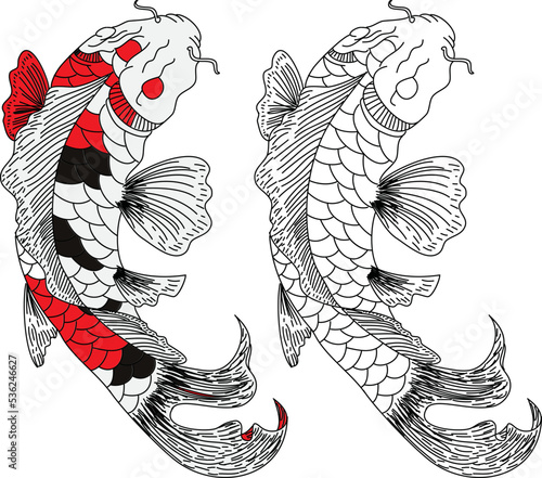 Hand drawn line art of fish (Koi carp). Vector isolated. Idea for tattoo and coloring books.