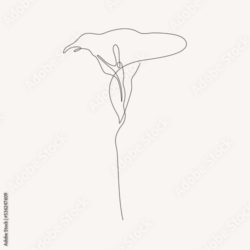 Abstract lily flower in one line drawing. Modern botanical drawing.  Minimalist graphic sketch of a lily flower for posters, tattoos, t-shirts, greeting cards and invitations. 