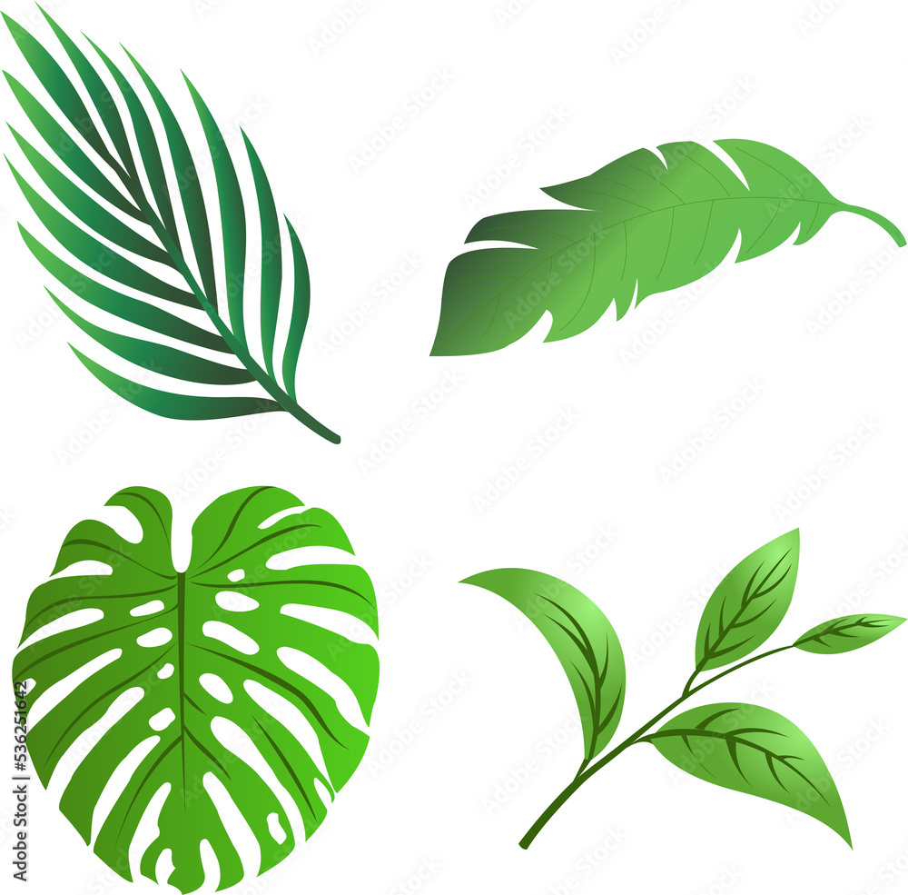 leaf png  