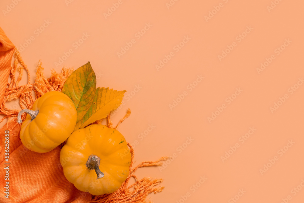 Autumn monochrome flat lay composition. Copy space. Autumn flat lay with two pumpkins fallen leaves Autumn monochrome flat lay composition. Copy space. Autumn flat lay with two pumpkins fallen leaves