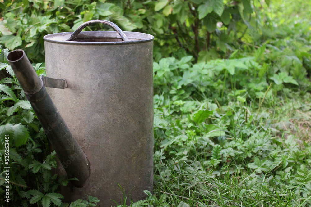 metal watering can in the vegetable garden, watering the garden, Gardening as a hobby, growing crops, Old vintage metal watering can metal watering can in the vegetable garden, watering the garden, Gardening as a hobby, growing crops, Old vintage metal watering can