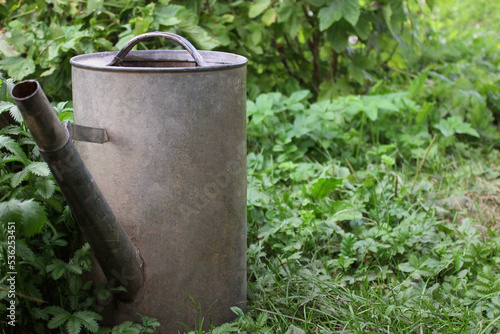 metal watering can in the vegetable garden, watering the garden, Gardening as a hobby, growing crops, Old vintage metal watering can