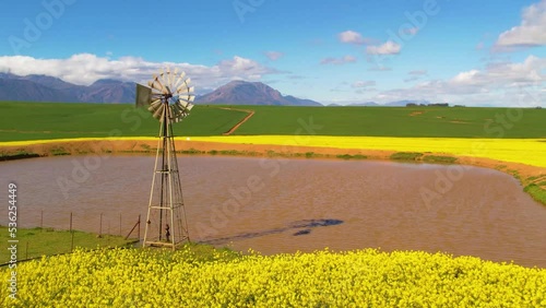 Aerials of Canola Lands and Windmill photo