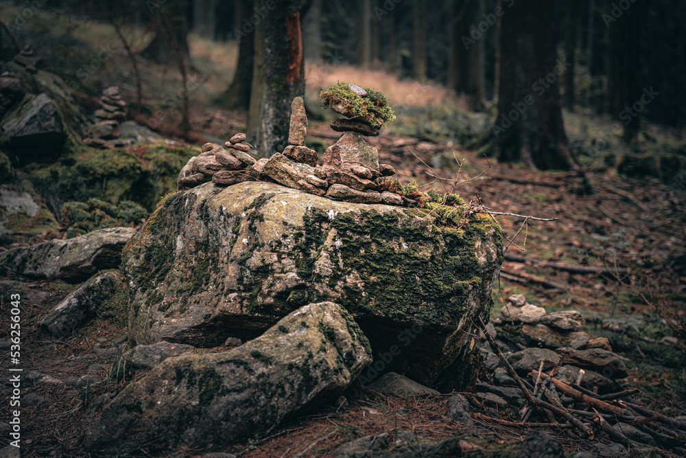 Fototapeta premium Der Bayerische Wald zum Herbstanfang mit grünem Wald und Bäumen. Bayern Deutschland