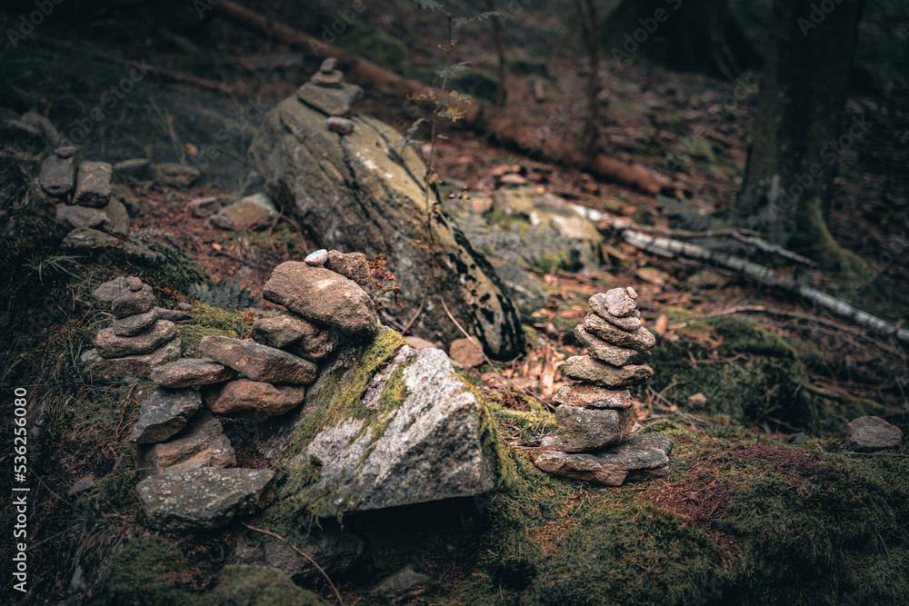 Der Bayerische Wald zum Herbstanfang mit grünem Wald und Bäumen. Bayern Deutschland Der Bayerische Wald zum Herbstanfang mit grünem Wald und Bäumen. Bayern Deutschland