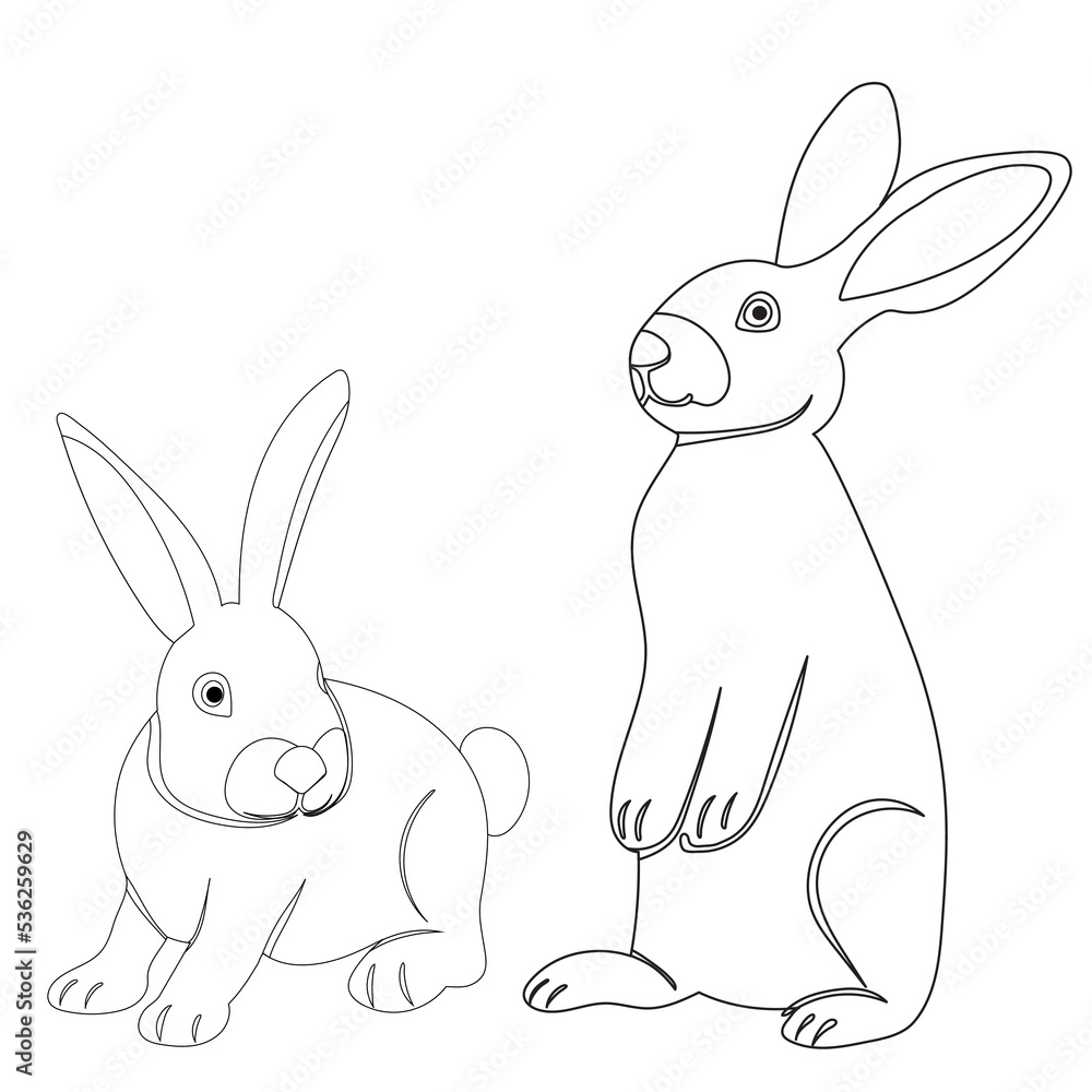 Obraz premium rabbits sketch ,outline icon isolated vector