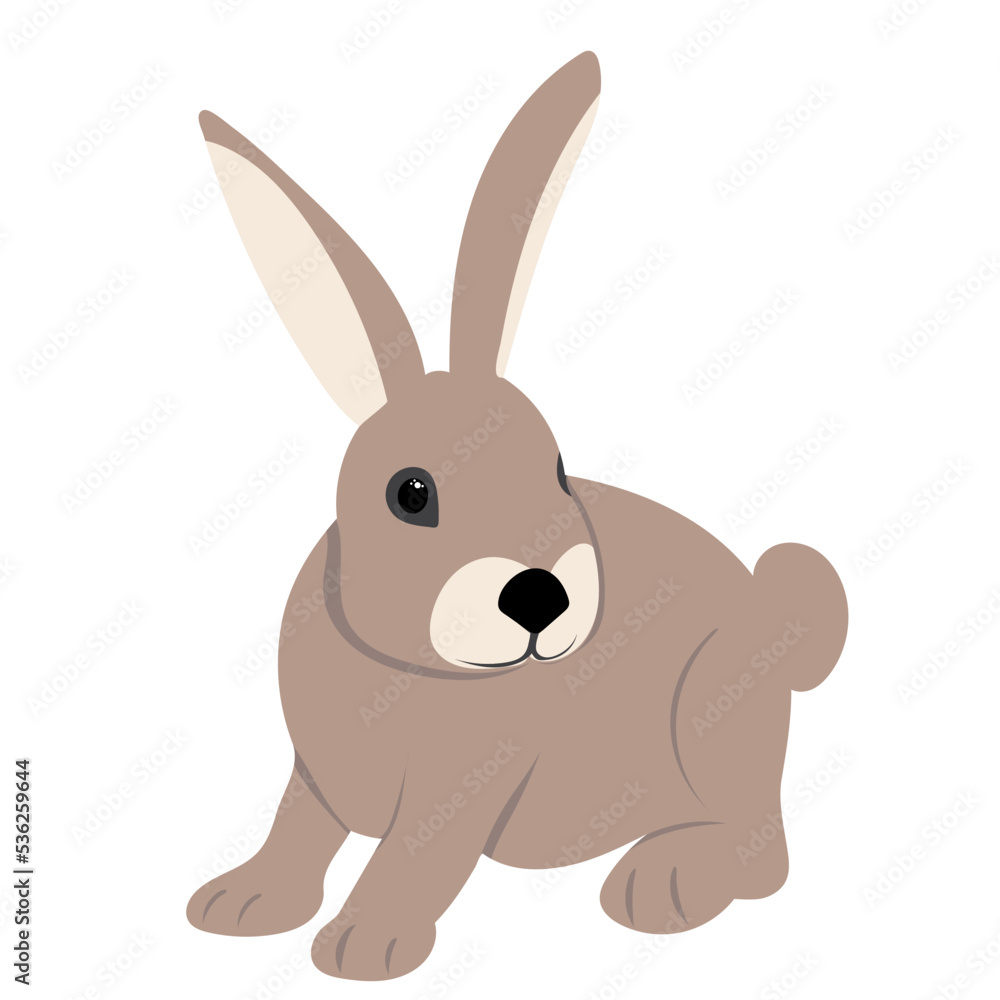 Fototapeta premium rabbit, hare on white background, isolated