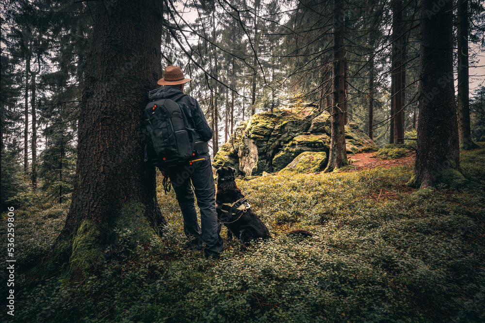Der Bayerische Wald zum Herbstanfang mit grünem Wald und Bäumen. Bayern Deutschland Der Bayerische Wald zum Herbstanfang mit grünem Wald und Bäumen. Bayern Deutschland