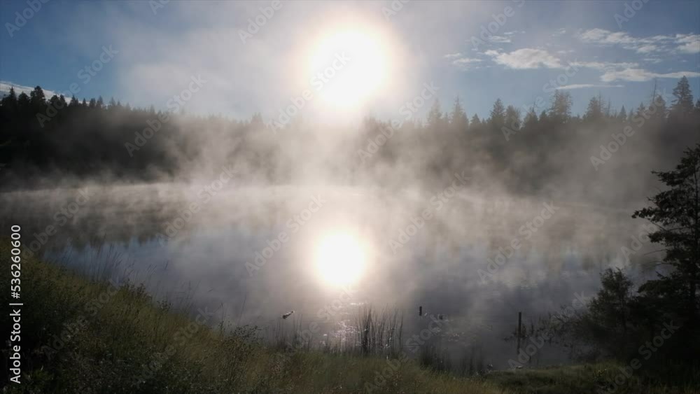 Diffuse sun ball as mist rises off calm pond on boreal forest morning Diffuse sun ball as mist rises off calm pond on boreal forest morning