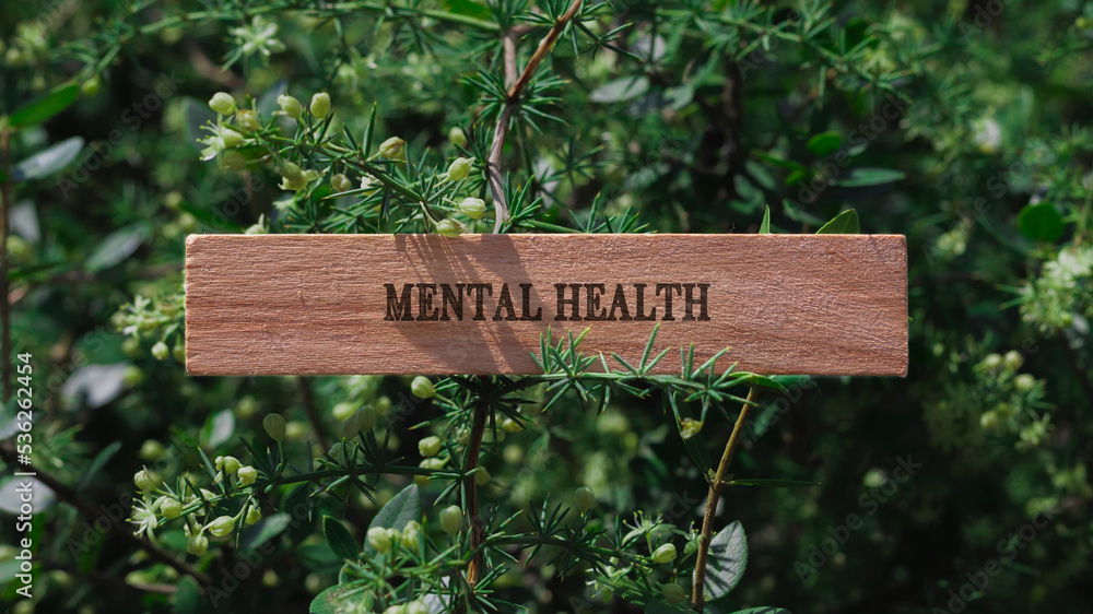 Mental Health. Written on a wooden frame. Mental health and treatments.