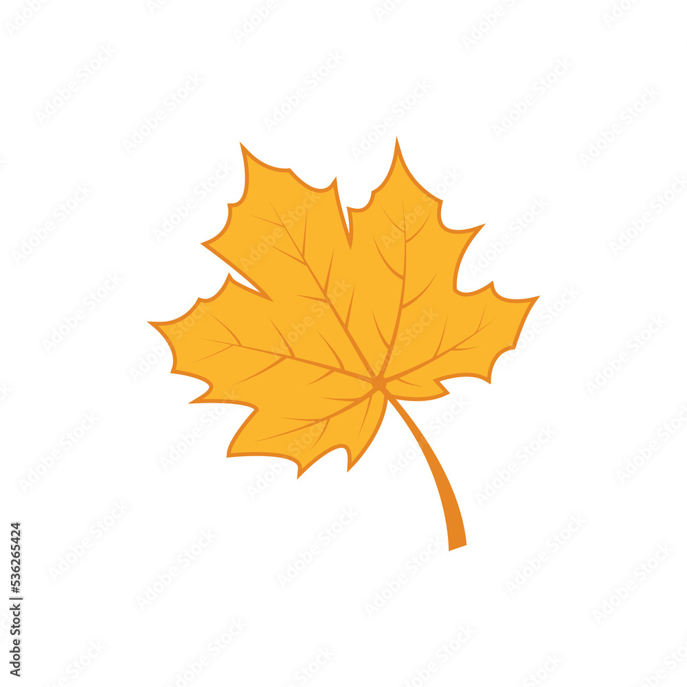 Fototapeta premium Maple leaf logo Template vector icon illustration design