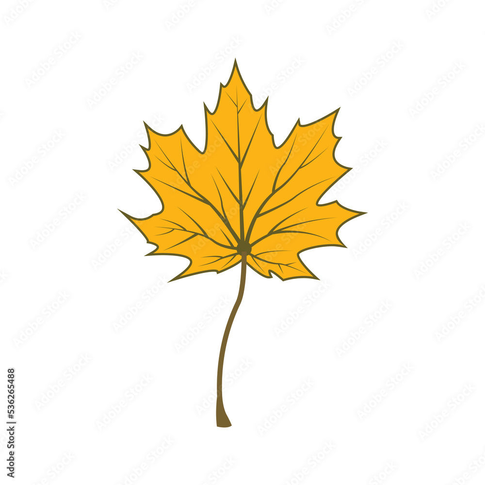 Fototapeta premium Maple leaf logo Template vector icon illustration design