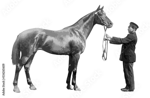 a horse with a groom of the early 20th century
