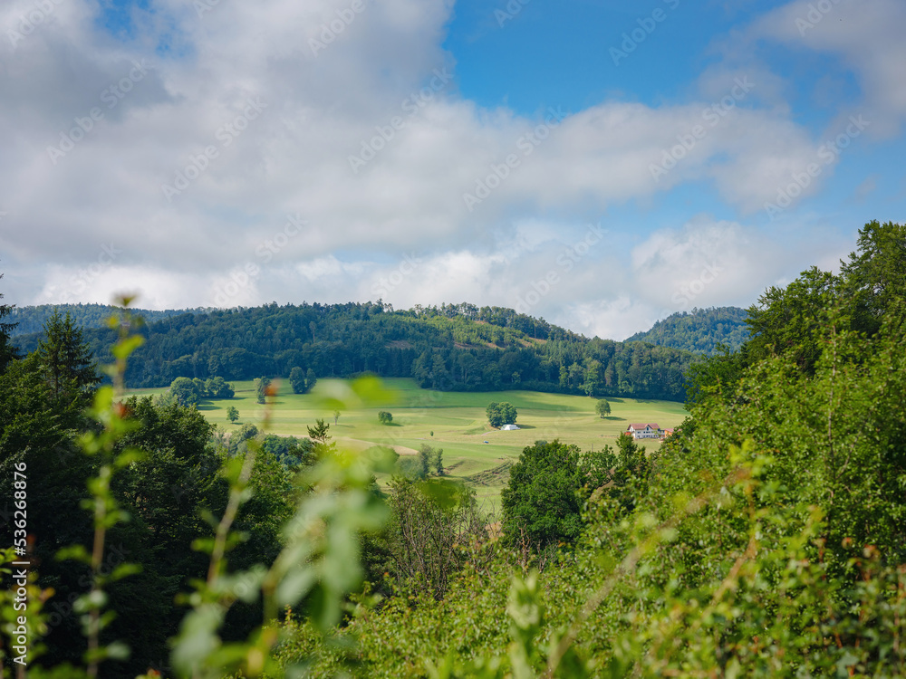 Green european forest landscape. beautiful nature of Switzerland and France in summer time