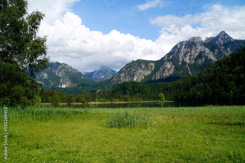 emerald-green waters of alpine lake Schwansee in Fuessen with the Bavarian Alps and the lush green summer forest in the background, Schwangau, Fuessen, Bavaria, Germany
